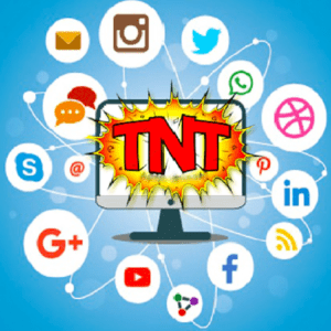 TNT MKTO Tổng Thể